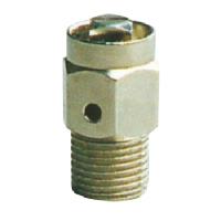 LUFTSKRUE T/NGLE CROM 1/8