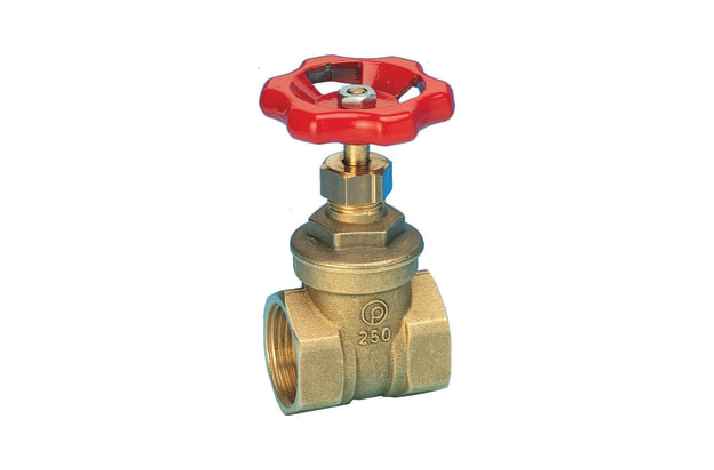 PETTINAROLI SKYDEVENT.  1