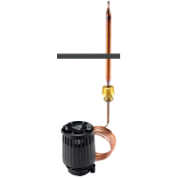 RAVI ELEMENT 2,0M  43- 65?