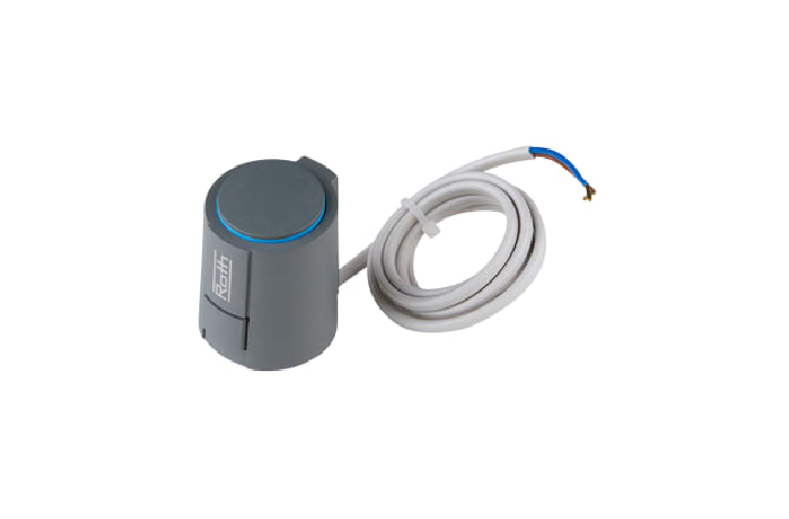 ROTH TERMOMOTOR      1W 24V