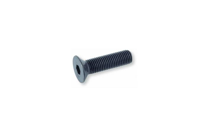 UNBRAKO SKRUE  4X10 MM SORT 10.9